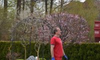 Maibäume 2022: Maibaum Steinbergsiedlung